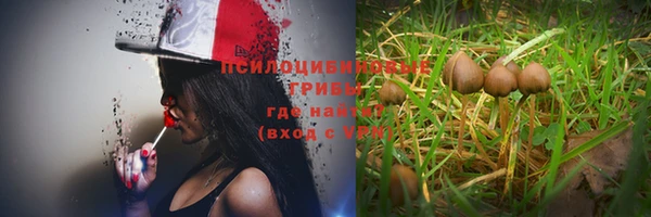 ешки Алексеевка