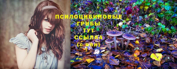 мет Абинск